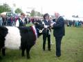 Belted Galloway Sdtondern's Aline, Landessiegerin und Miss Beltie 2005, Gratulation vom Ministerprsidenten v. Schl.-Holstein, Peter Harry Carstensen