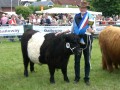 Sdtondern's Keike, Landessiegerin Frsen Vil 2009, Miss Beltie 2009