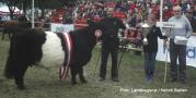 Südtondern's Lynn, Siegerin der Interbreed